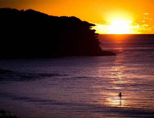 Surfing South Africa