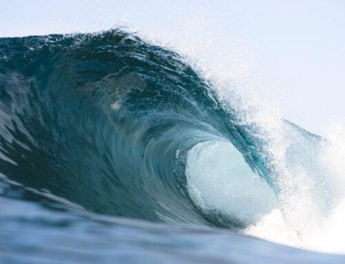 Hawaii Waves